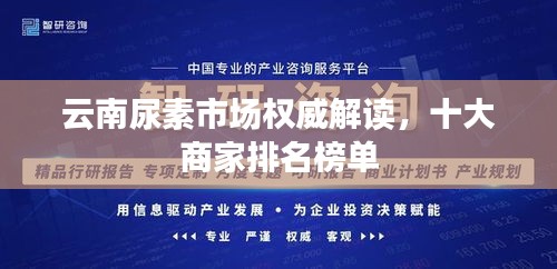 達官顯貴 第2頁