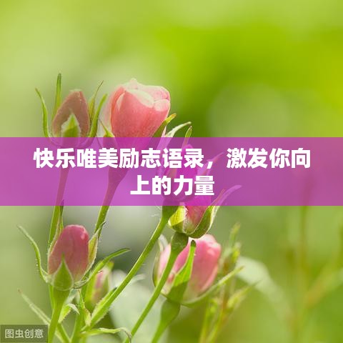 快樂唯美勵志語錄，激發(fā)你向上的力量