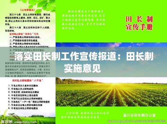 眉清目秀 第2頁
