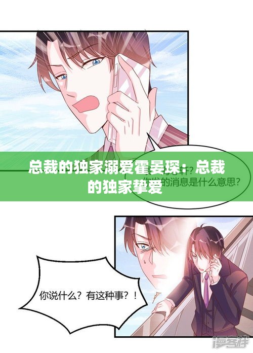 總裁的獨家溺愛霍晏?。嚎偛玫莫毤覔磹?