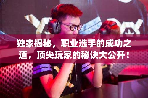 獨家揭秘，職業(yè)選手的成功之道，頂尖玩家的秘訣大公開！