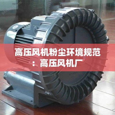 高壓風(fēng)機(jī)粉塵環(huán)境規(guī)范：高壓風(fēng)機(jī)廠 