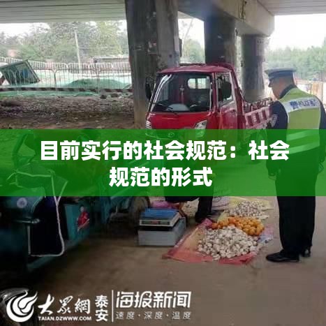 目前實(shí)行的社會(huì)規(guī)范：社會(huì)規(guī)范的形式 