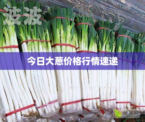 雍容典雅 第2頁