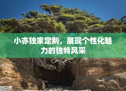 小亦獨(dú)家定制，展現(xiàn)個(gè)性化魅力的獨(dú)特風(fēng)采