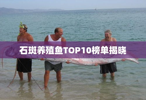 石斑養(yǎng)殖魚TOP10榜單揭曉