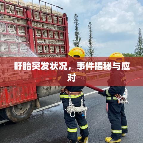 盱眙突發(fā)狀況，事件揭秘與應(yīng)對