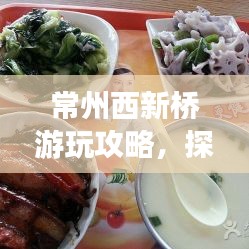 常州西新橋游玩攻略，探秘歷史古韻與美食之旅