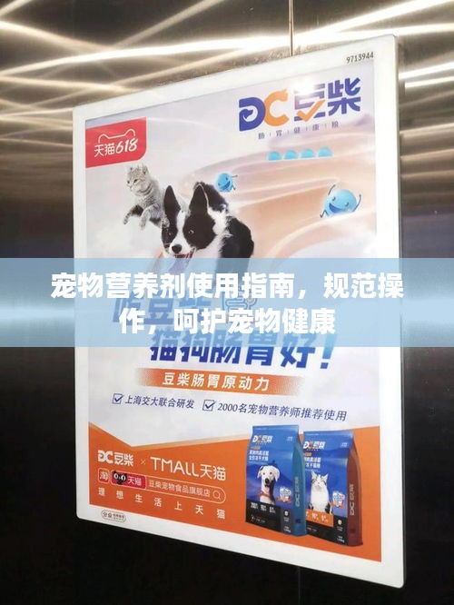 寵物營養(yǎng)劑使用指南，規(guī)范操作，呵護(hù)寵物健康