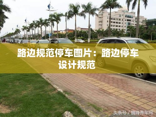 路邊規(guī)范停車圖片：路邊停車設(shè)計規(guī)范 