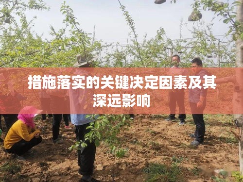 措施落實(shí)的關(guān)鍵決定因素及其深遠(yuǎn)影響