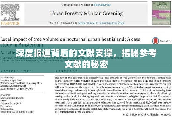 深度報道背后的文獻支撐，揭秘參考文獻的秘密