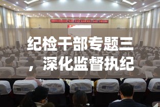 紀檢干部專題三，深化監(jiān)督執(zhí)紀，助力全面從嚴治黨縱深發(fā)展