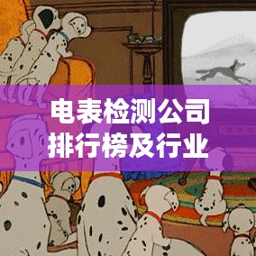 電表檢測(cè)公司排行榜及行業(yè)影響力解析