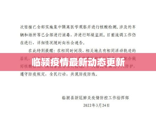 臨潁疫情最新動態(tài)更新