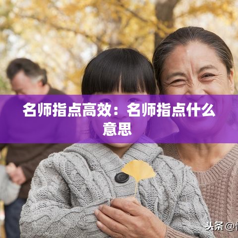 名師指點(diǎn)高效：名師指點(diǎn)什么意思 