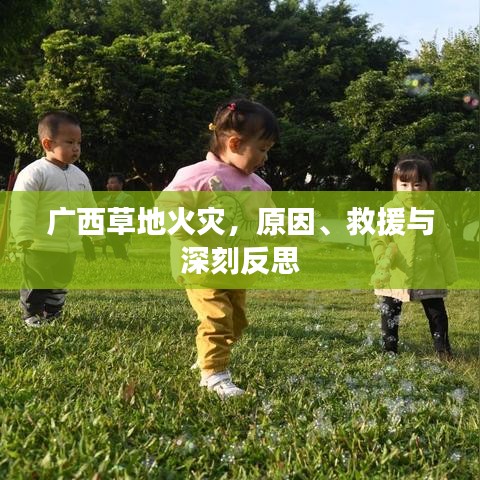 廣西草地火災，原因、救援與深刻反思