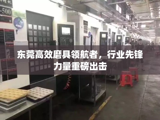 東莞高效磨具領航者，行業先鋒力量重磅出擊