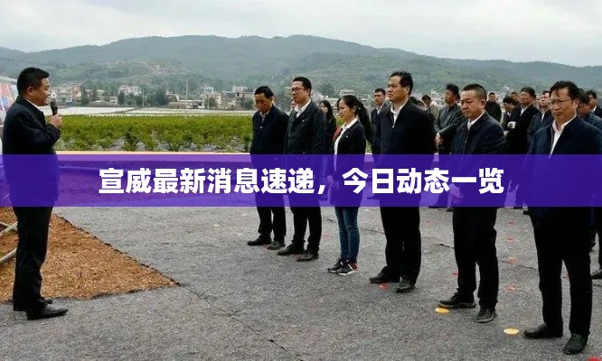 宣威最新消息速遞，今日動態一覽