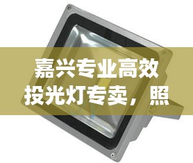 嘉興專業(yè)高效投光燈專賣(mài)，照明解決方案領(lǐng)航者