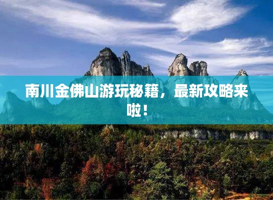 南川金佛山游玩秘籍，最新攻略來啦！
