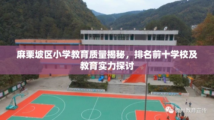 麻栗坡區(qū)小學(xué)教育質(zhì)量揭秘，排名前十學(xué)校及教育實(shí)力探討