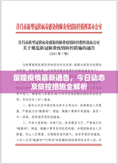 留隍疫情最新通告，今日動態及防控措施全解析