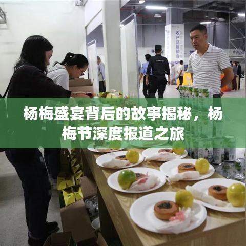 楊梅盛宴背后的故事揭秘，楊梅節(jié)深度報(bào)道之旅