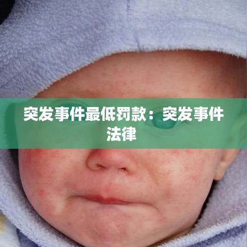 突發(fā)事件最低罰款：突發(fā)事件法律 
