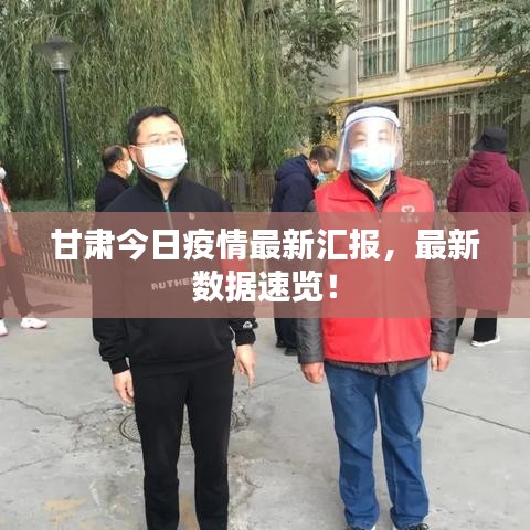 甘肅今日疫情最新匯報(bào)，最新數(shù)據(jù)速覽！