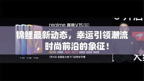 錦鯉最新動態，幸運引領潮流，時尚前沿的象征！