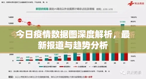 今日疫情數(shù)據(jù)圖深度解析，最新報(bào)道與趨勢(shì)分析