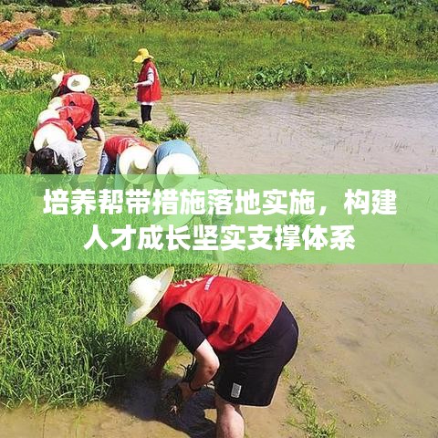 培養(yǎng)幫帶措施落地實(shí)施，構(gòu)建人才成長(zhǎng)堅(jiān)實(shí)支撐體系