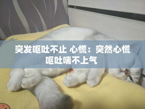 突發(fā)嘔吐不止 心慌：突然心慌嘔吐喘不上氣 
