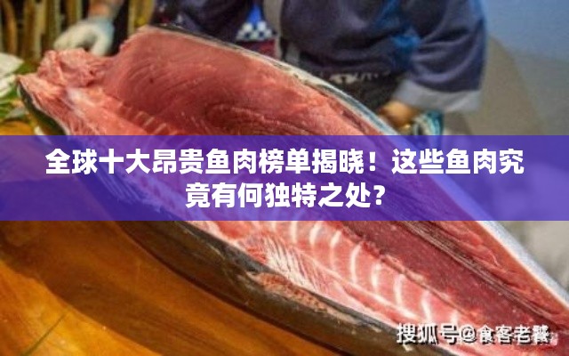 全球十大昂貴魚肉榜單揭曉！這些魚肉究竟有何獨特之處？
