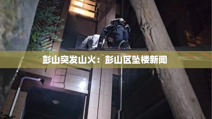 志在四方 第2頁