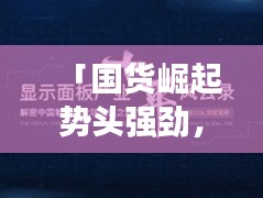 「國貨崛起勢(shì)頭強(qiáng)勁，中國制造崛起之路深度解析」