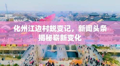 化州江邊村蛻變記，新聞頭條揭秘嶄新變化