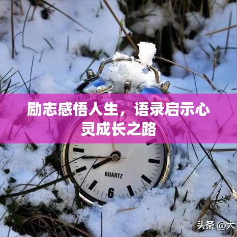 勵(lì)志感悟人生，語(yǔ)錄啟示心靈成長(zhǎng)之路