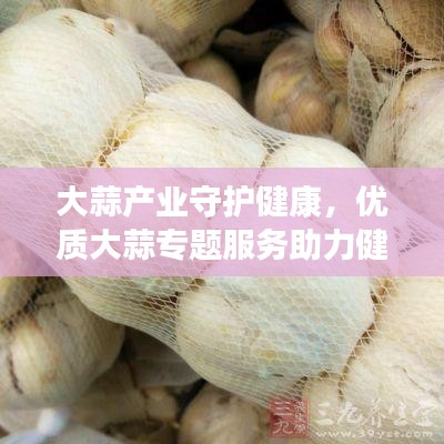 大蒜產業守護健康，優質大蒜專題服務助力健康之路