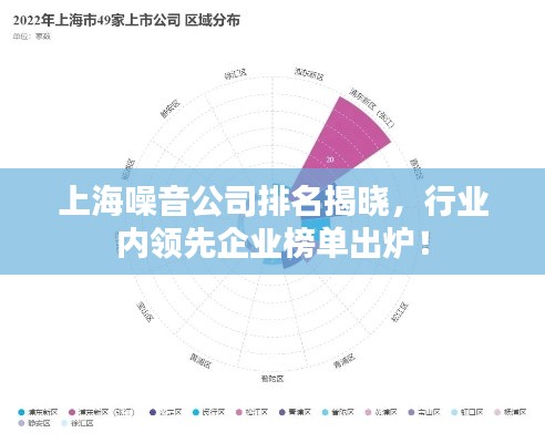 上海噪音公司排名揭曉，行業內領先企業榜單出爐！