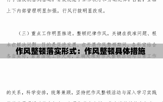 作風(fēng)整頓落實(shí)形式：作風(fēng)整頓具體措施 