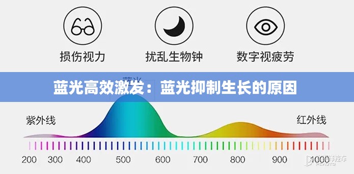 藍光高效激發：藍光抑制生長的原因 
