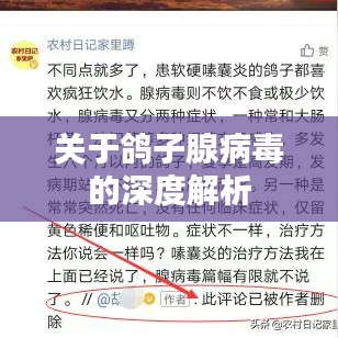 關于鴿子腺病毒的深度解析