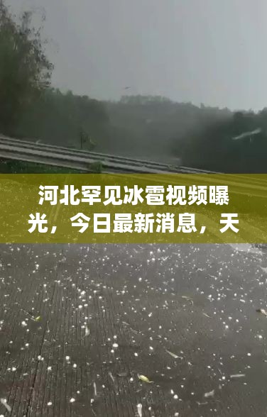 篤學(xué)好古 第2頁(yè)