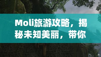 Moli旅游攻略，揭秘未知美麗，帶你探索神秘之地！