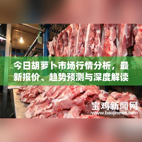 今日胡蘿卜市場行情分析，最新報價、趨勢預測與深度解讀
