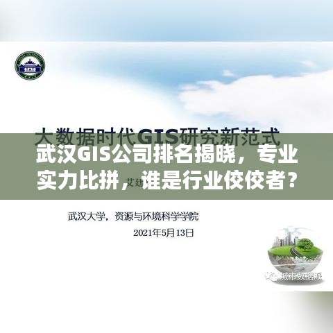 武漢GIS公司排名揭曉，專業(yè)實力比拼，誰是行業(yè)佼佼者？