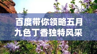 百度帶你領(lǐng)略五月九色丁香獨(dú)特風(fēng)采，美不勝收！