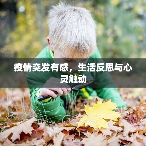 疫情突發(fā)有感，生活反思與心靈觸動(dòng)